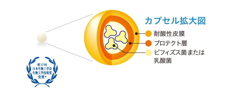 カプセル拡大図 - 第17回日本生物学会生物工学技術賞受賞※1