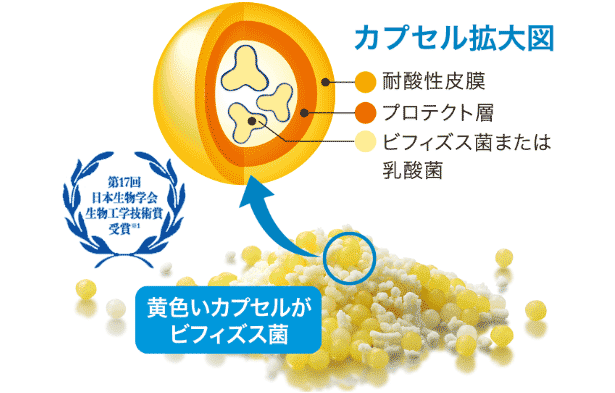 カプセル拡大図 - 第17回日本生物学会生物工学技術賞受賞※1