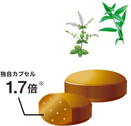独自カプセル1.7倍