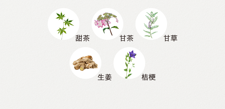 甜茶 甘茶 甘草 生姜 桔梗