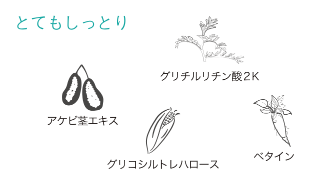 とてもしっとり アケビ茎エキス グリコシルトレハロース ローズウォーター PCA-Na アラントイン