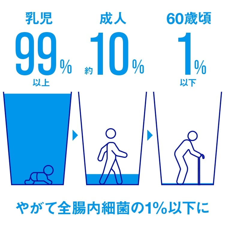 やがて全腸内細菌の1%以下に