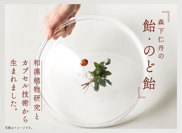森下仁丹 本店｜サプリメント・機能性表示食品・医薬品の公式通販