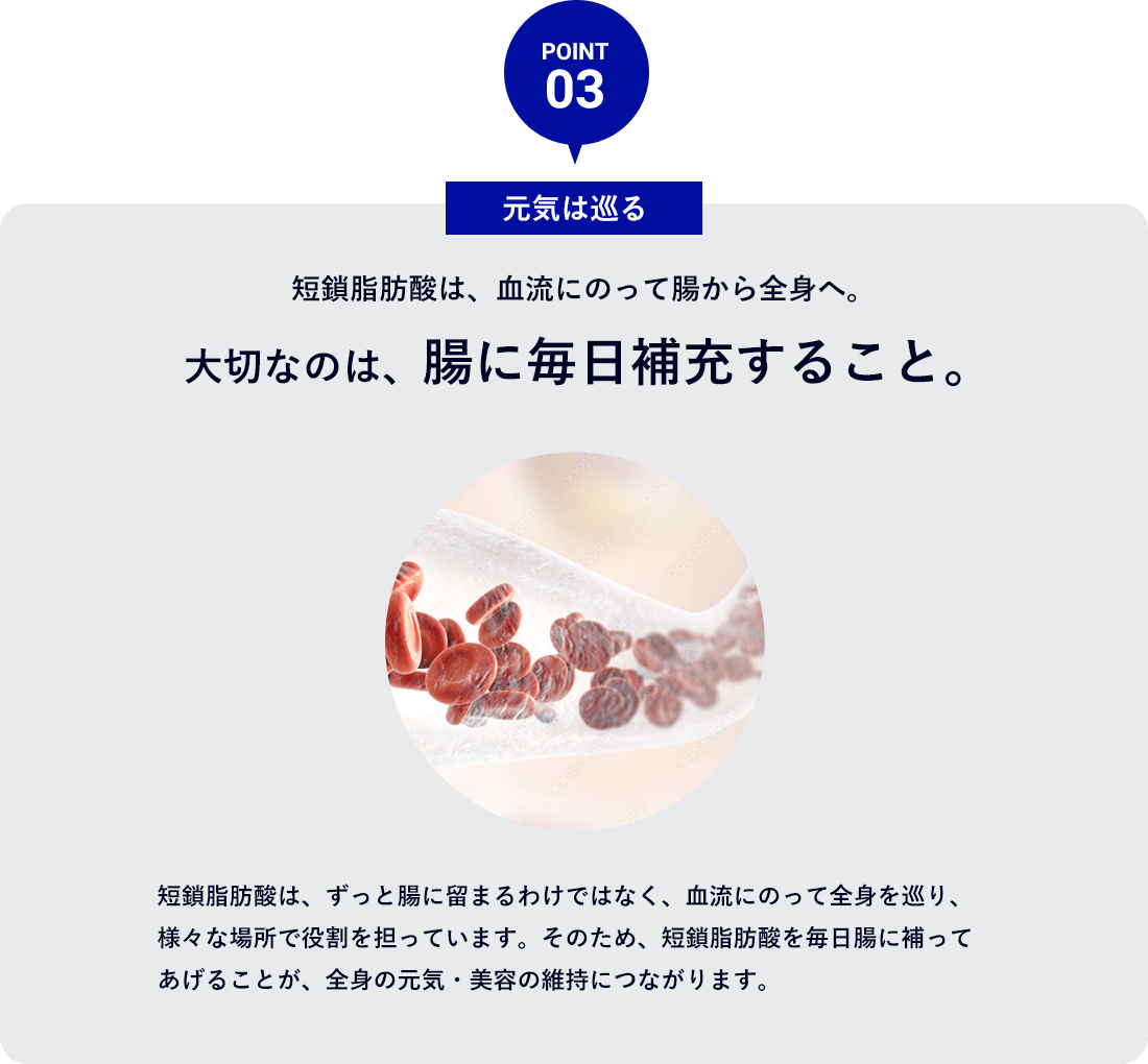 POINT 03