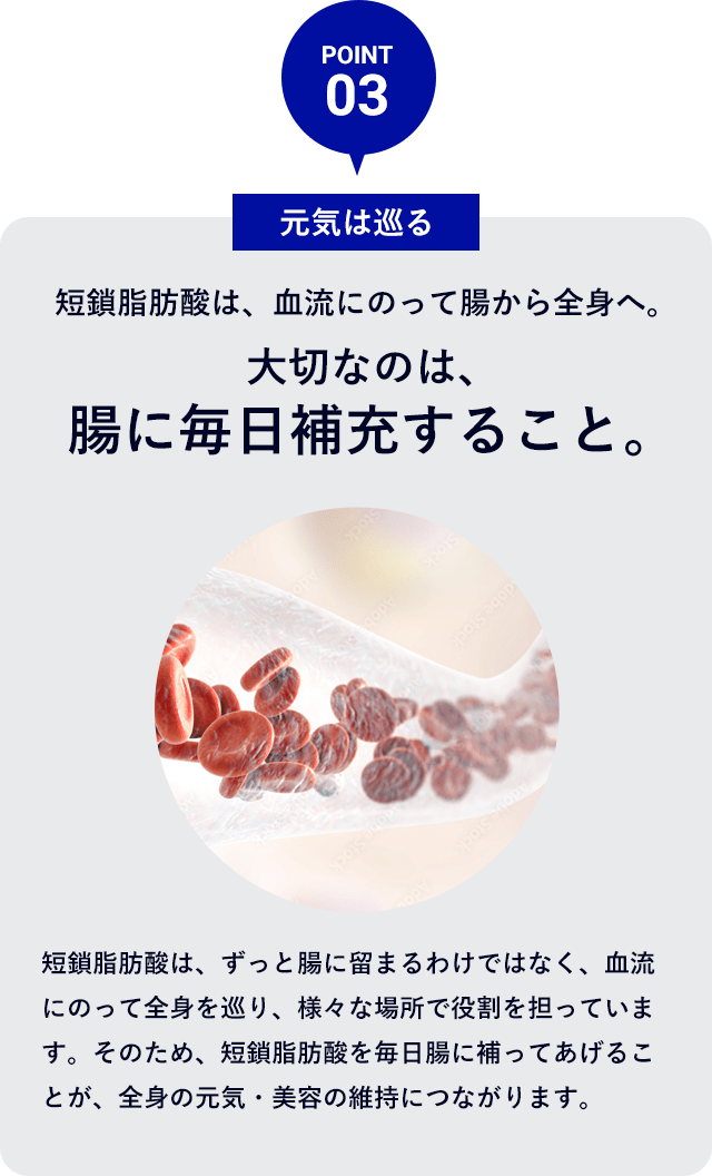 POINT 03