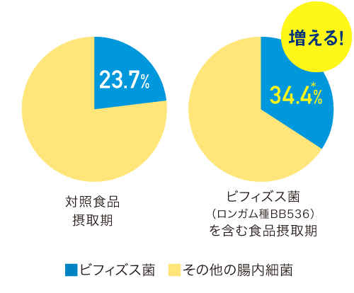 対照食品摂取期 - ビフィズス菌: 23.7%、ビフィズス菌（ロンガム種BB536）を含む摂取期 - ビフィズス菌: 34.4%*