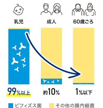 乳児: 99%以上、成人: 約10%、60歳ごろ: 1%以下