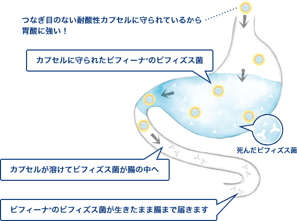 つなぎ目のない耐酸性カプセルに守られているから胃酸に強い！