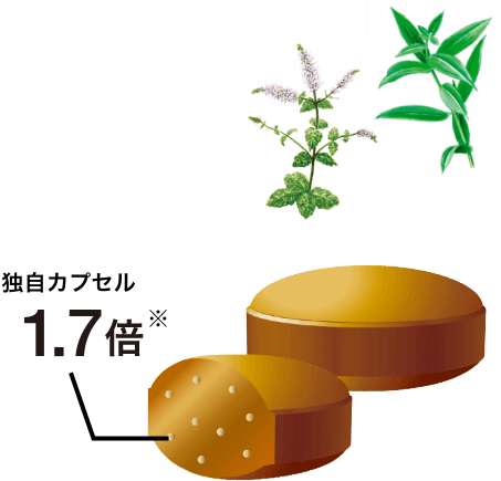 独自カプセル1.7倍