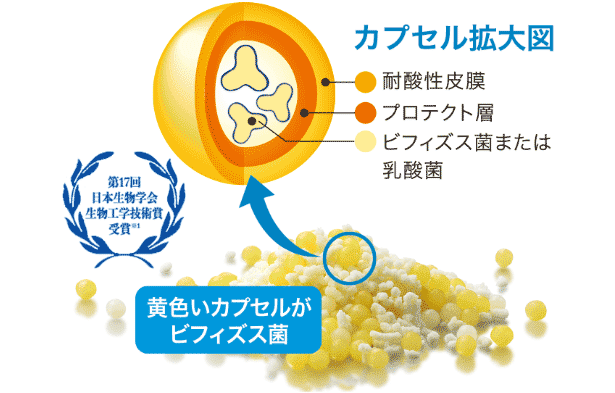 カプセル拡大図 - 第17回日本生物学会生物工学技術賞受賞※1