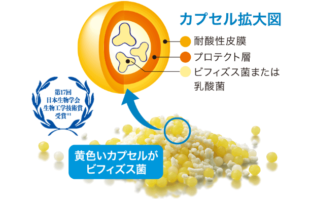 カプセル拡大図 - 第17回日本生物学会生物工学技術賞受賞※1