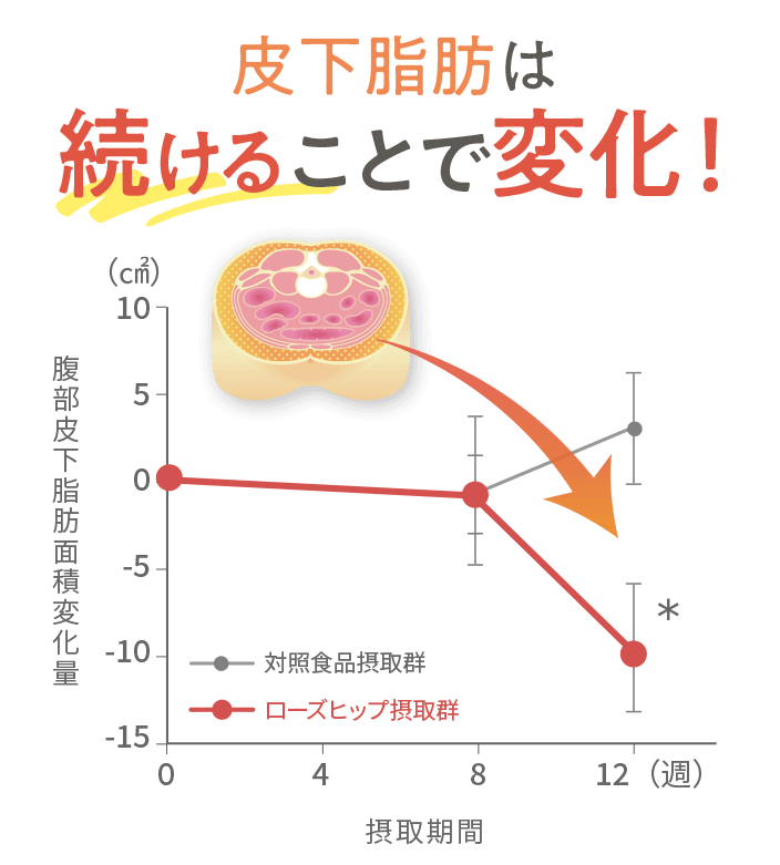 皮下脂肪は続けることで変化！腹部皮下脂肪面積変化量対象食品摂取群ローズヒップ摂取群