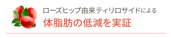 ローズヒップ由来ティリロサイドによる低脂肪の低減を実証