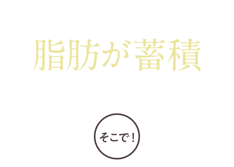 これらの要因が重なって脂肪が蓄積しやすい状態に！そこで！