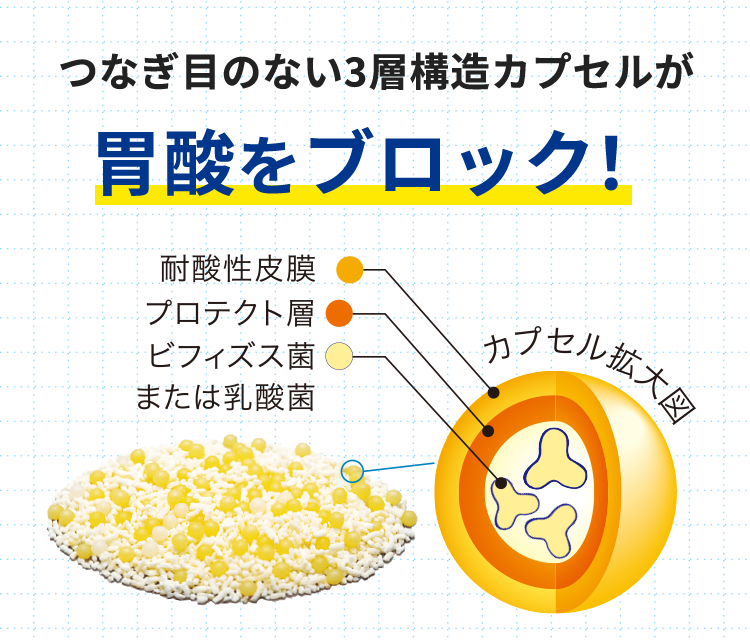 つなぎ目のない3層構造カプセルが胃酸をブロック！ 