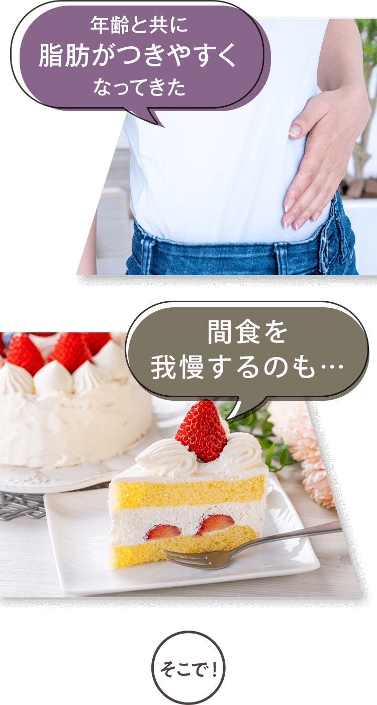 年齢と共に脂肪がつきやすくなってきた間食を我慢するのも…そこで！