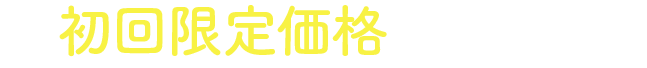 初回限定価格でご案内！！