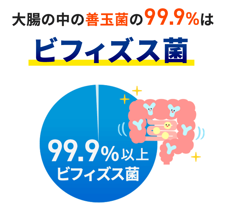 大腸の中の善玉菌の99.9%はビフィズス菌