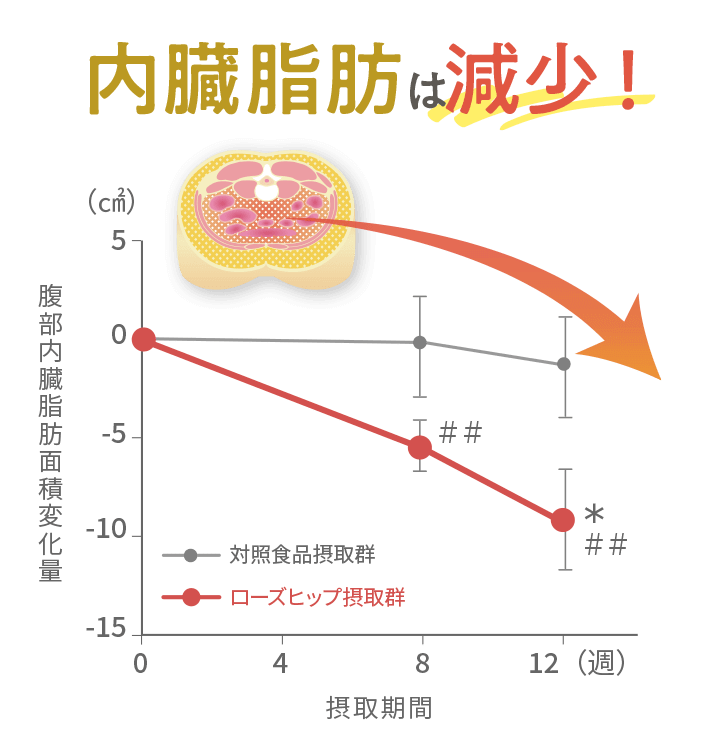 内蔵面積が減少！腹部内脂肪面積変化量対象食品摂取群ローズヒップ摂取群